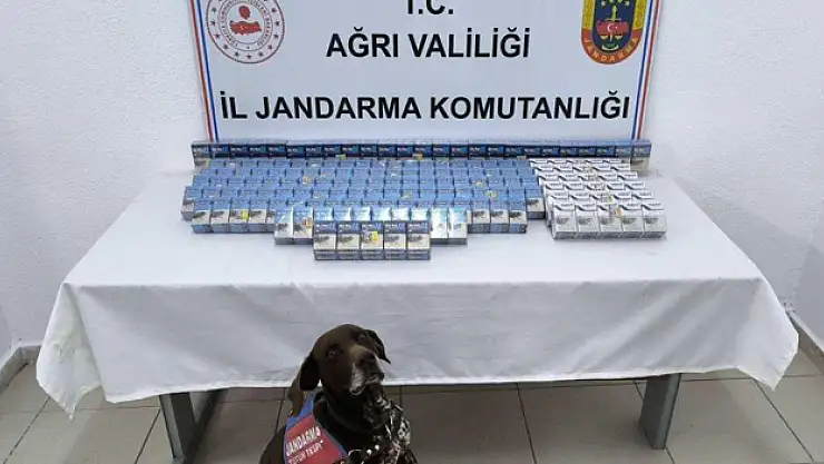 2 bin paket kaçak sigara ele geçirildi