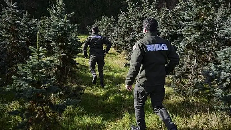 Ekipler 'yılbaşı ağacı' nöbetinde