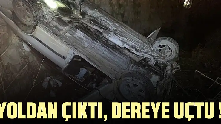Yoldan çıktı, Dereye Uçtu !