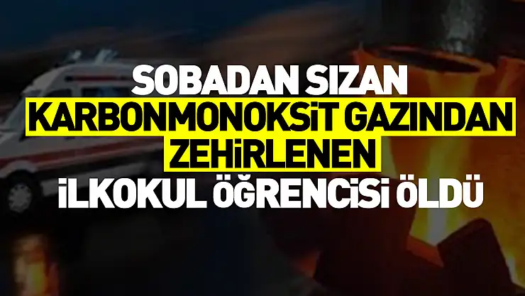 İlkokul öğrencisi karbonmonoksit gazından zehirlendi
