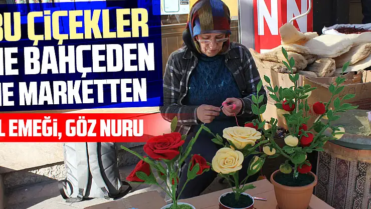 Bu Çiçekler Ne Bahçeden Ne Marketten: