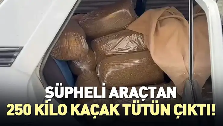 Araçtan 250 kilo kaçak tütün çıktı!