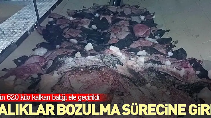 Balıklar bozulma sürecine girdi