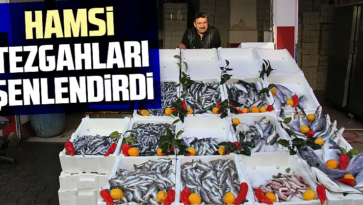 Hamsi Tezgahları Şenlendirdi
