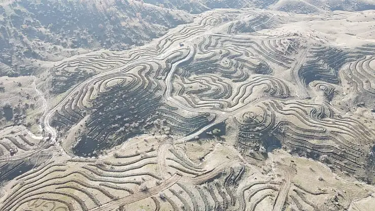 Sason'da 5 bin 300 adet fıstık ve badem fidanı dikildi