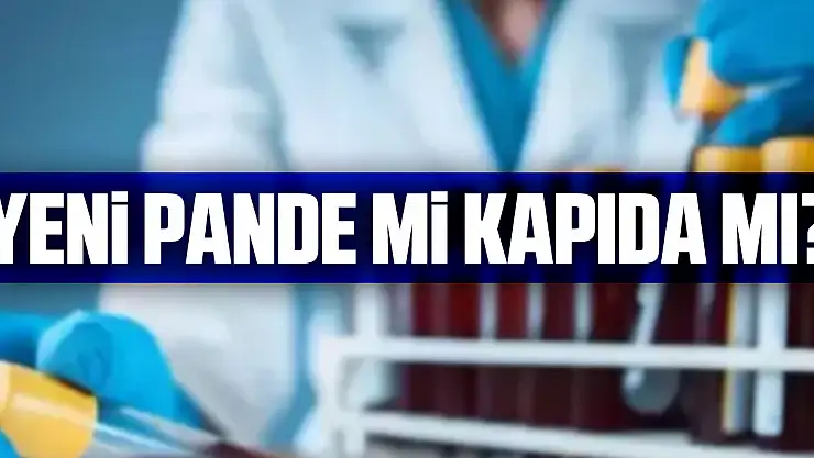YENi PANDE Mi KAPIDA MI?