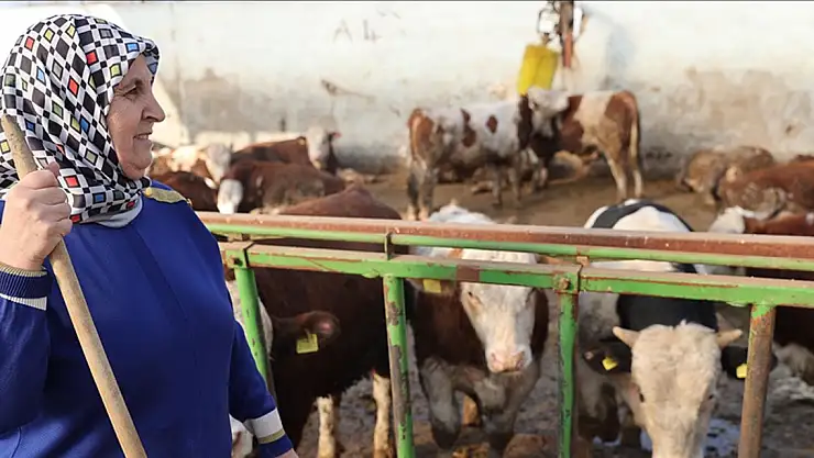 Hobi olarak başlamıştı ama!...