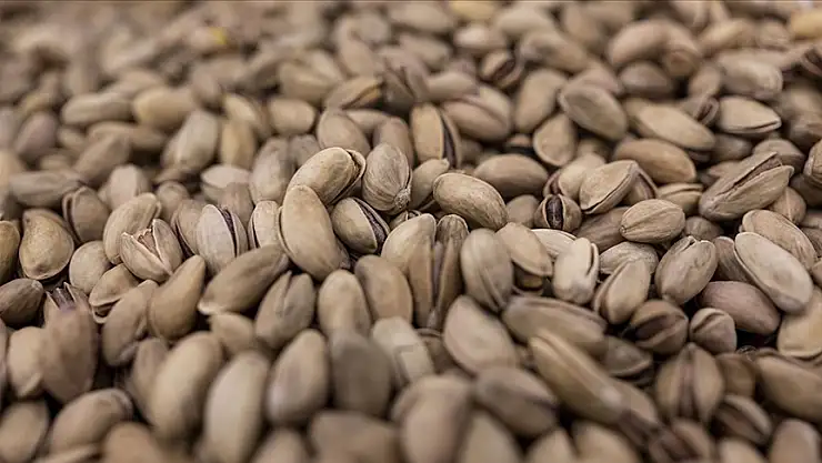 229 milyon dolarlık fıstık ihraç edildi