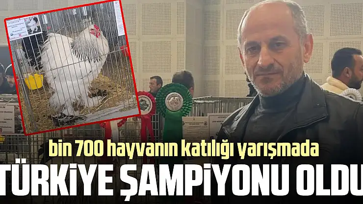 Türkiye şampiyonu oldu