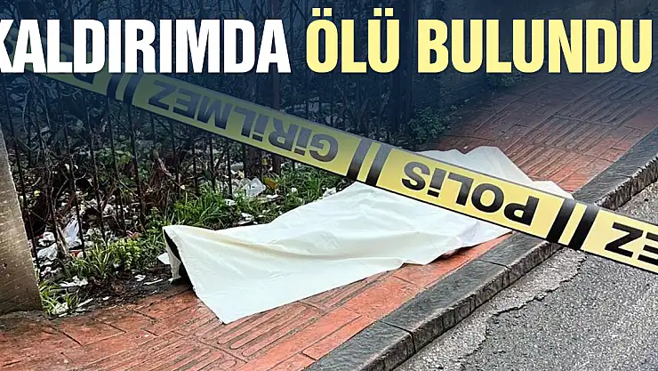 BAYGIN SANDIALR ÖLÜ BULUNDU