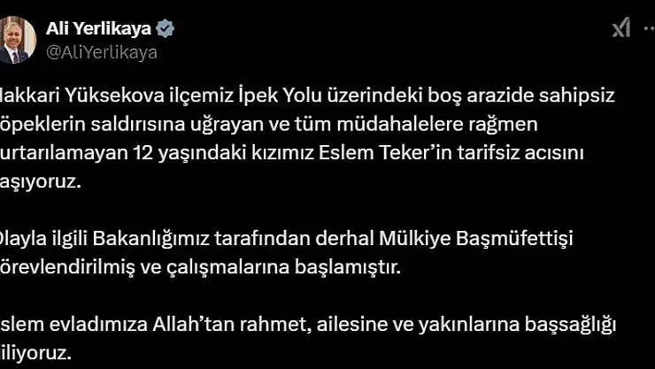 Sokak köpeklerinin öldürdüğü Eslem için Mülkiye Başmüfettişi görevlendirildi