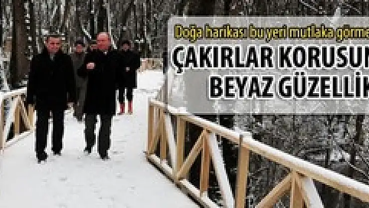 Manzara göz kamaştırıyor