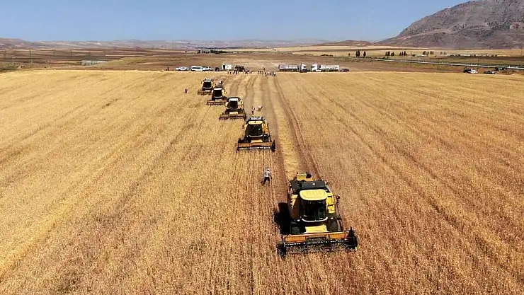 Tarım-GFE yıllık yüzde 32,92 arttı