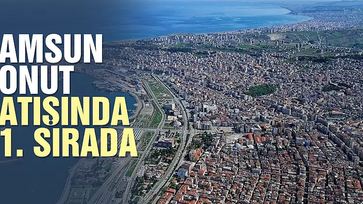 Samsun konut satışında 11. sırada