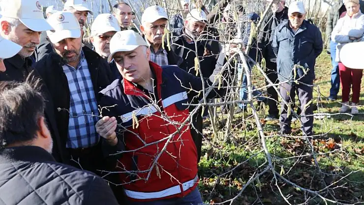 FINDIK BAHÇESİNDE YARIŞ