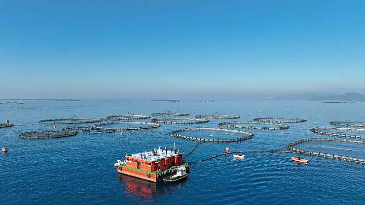 Muğla'da su ürünlerinden 624,6 milyon dolar yatırım kazandı