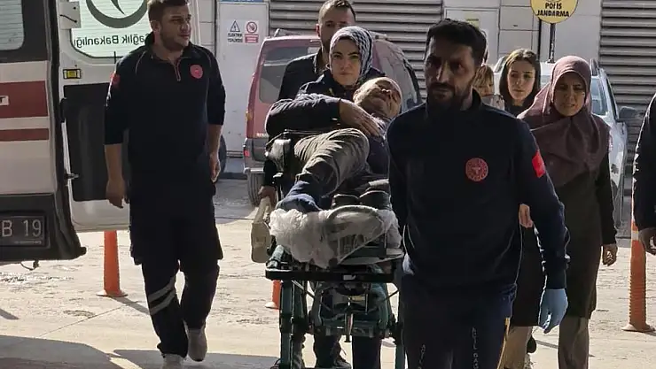 Budadığı ağaçtan düşen şahıs yaralandı