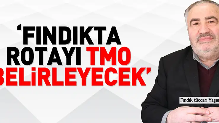 'FINDIKTA ROTAYI TMO BELİRLEYECEK'