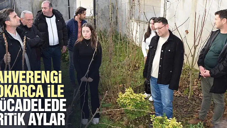 Teknik personele kahverengi kokarca mücadelesi anlatıldı