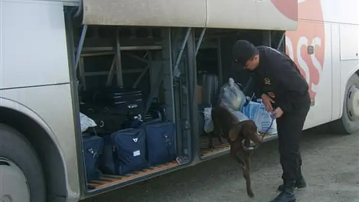 İZMİR'DE NARKOTİK OPERASYONLARI