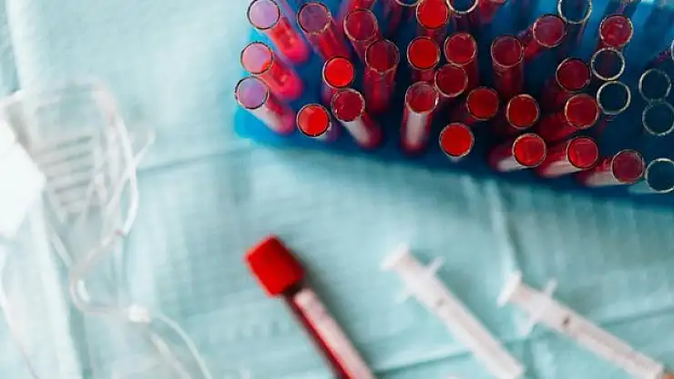 'Kalp kası yamaları' geliştirildi