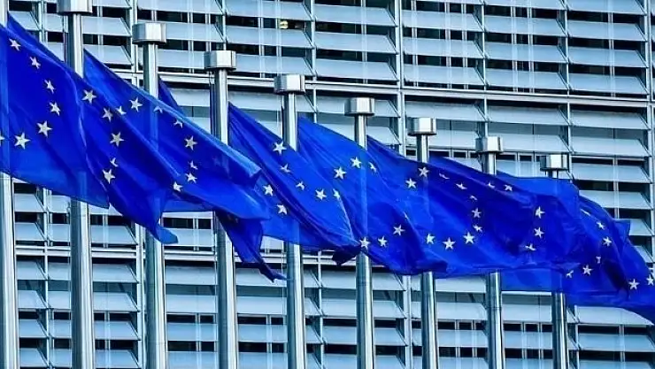 AB ve 8 ülke şiddeti kınadı