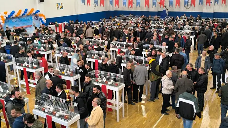 Güvercin Festivali'ne büyük ilgi