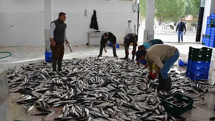 Muğla'nın Ocak ayı ihracatı 80,5 milyon dolar