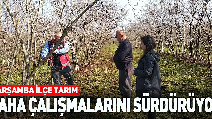 Çarşamba İlçe Tarım saha çalışmalarını sürdürüyor