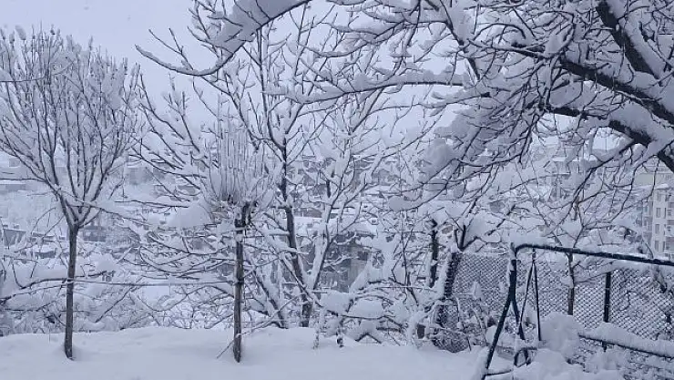 Hakkari'de beyaz örtü