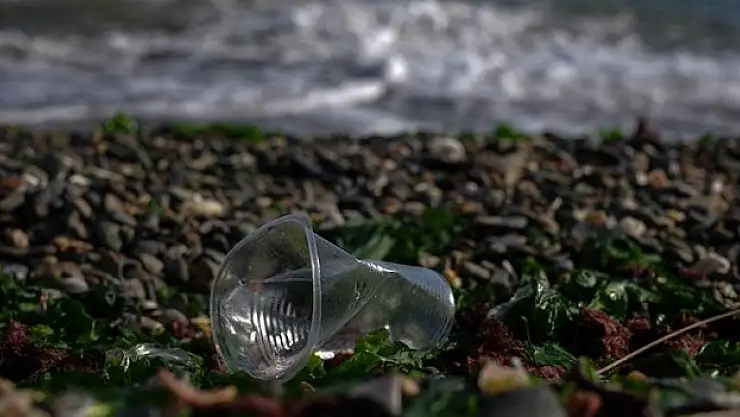 4 mevsim sürdüğü belirlendi