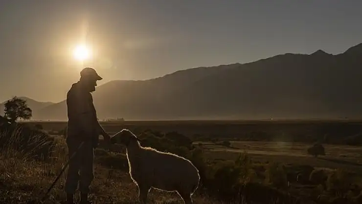 Kırsalda nüfus azalıyor
