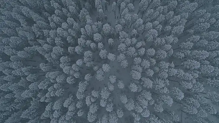 Karla kaplanan Ilgaz Dağı dronla görüntülendi