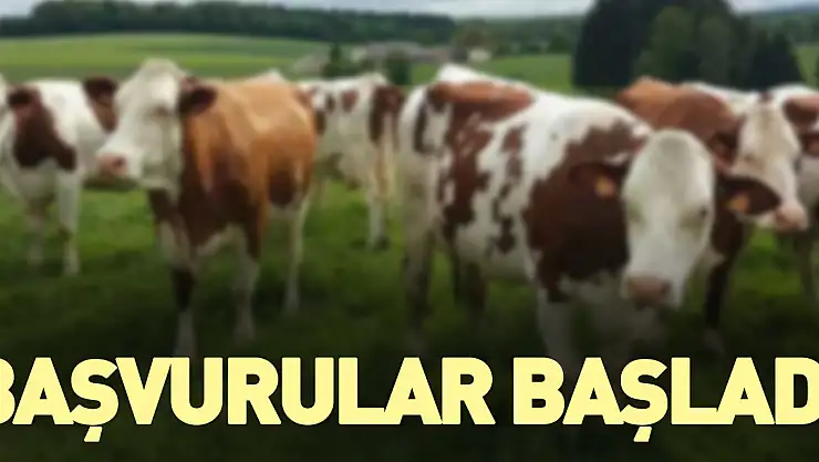 Başvurular başladı