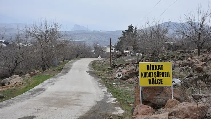 Köylüler başıboş köpeklerin toplanmasını talep ediyor