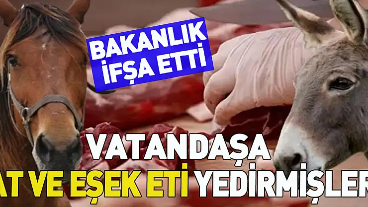 VATANDAŞA ET VE EŞEK ETİ YEDİRMİŞLER!
