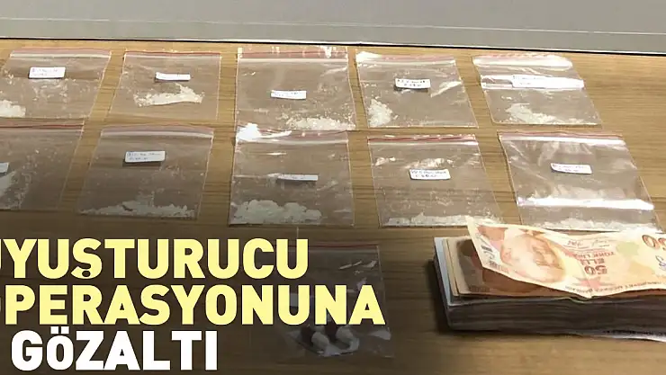 Uyuşturucu operasyonuna 1 gözaltı