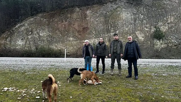 Yaban hayvanları aç bırakılmadı