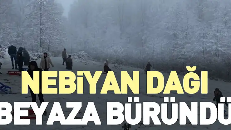 Nebiyan Dağı beyaza büründü