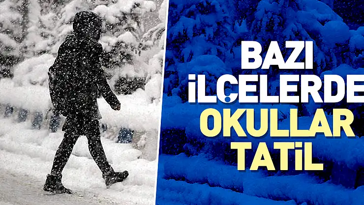 Bazı ilçelerde okullar tatil