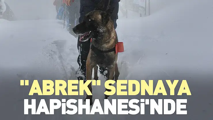 'Abrek' Sednaya Hapishanesi'nde