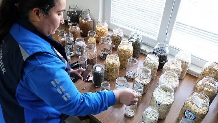 Yerel tohum dağıtımı devam ediyor