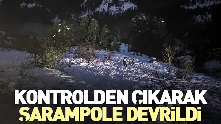 Kontrolden çıkarak şarampole devrildi