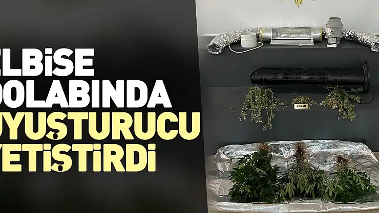 Elbise dolabında uyuşturucu yetiştirdi