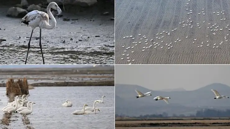 250'ye yakın kuş türüne ev sahibi