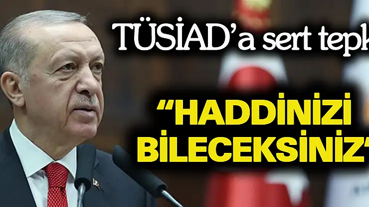 Erdoğan'dan TÜSİAD'a açıklaması