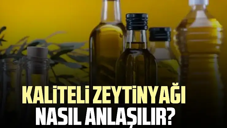 KALİTELİ ZEYTİNYAĞI NASIL ANLAŞILIR?