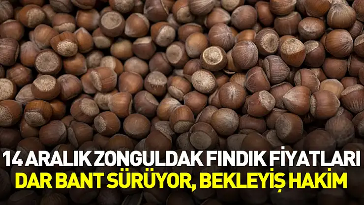 14 Aralık Zonguldak Fındık Fiyatları | Dar Bant Sürüyor, Bekleyiş Hakim