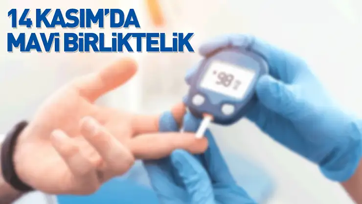 14 Kasım'da Mavi Birliktelik