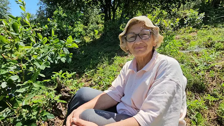 14 yıldır organik üretim yapıyor